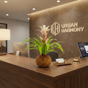 Guzmania (Bromelia blanca) - Image 3